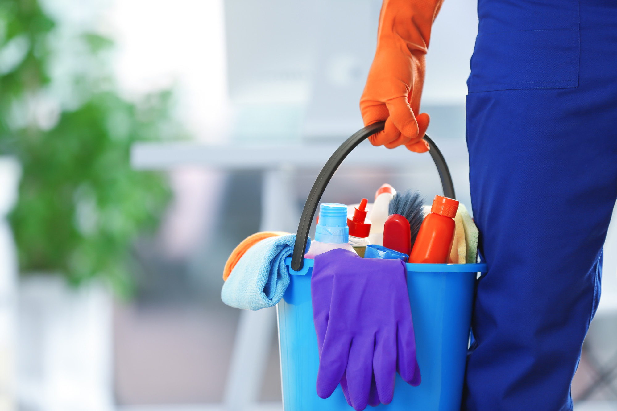Winnipeg Cleaning Services